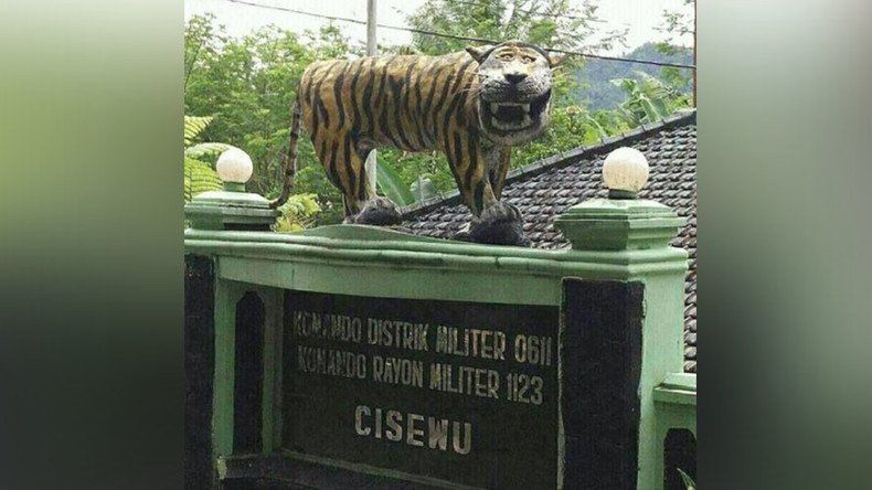 ‘Funny looking’ tiger statue removed by military after torrent of online humiliation 