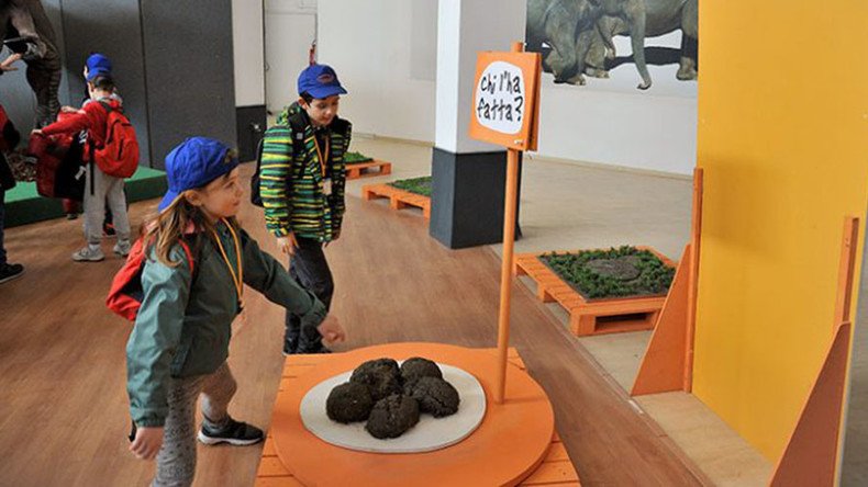 Poo at the zoo: Rome biopark opens feces exhibition for curious children