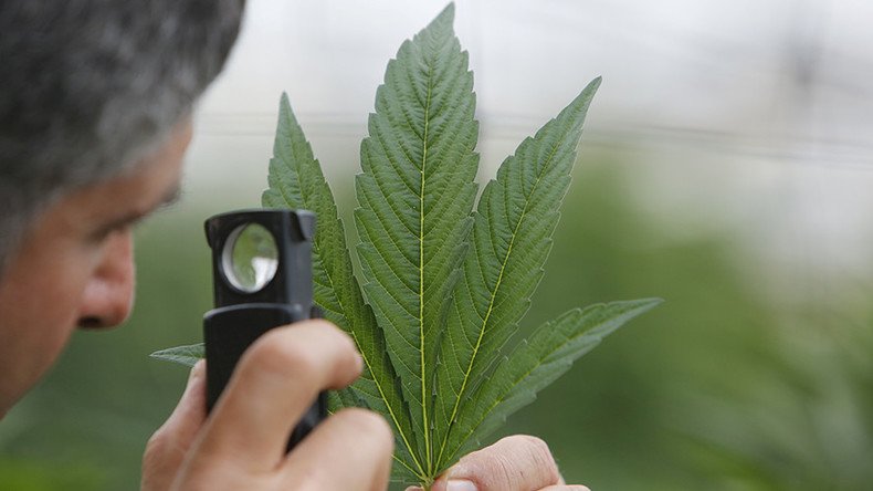 DEA approves synthetic marijuana for big pharma company against legalization