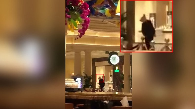 Animal mask-wearing suspects arrested after burglary at the Bellagio in Las Vegas (VIDEOS, PHOTOS)