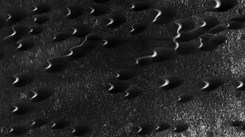 New Mars photo shows countless worm-like dunes on red planet (PHOTO, VIDEO)