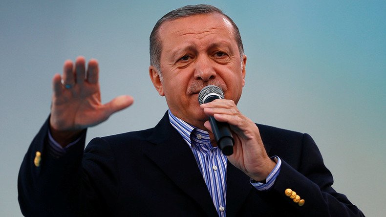 ‘Terrorism Godfather’ Erdogan pursuing ‘Third Reich-style’ foreign policy – top German MP