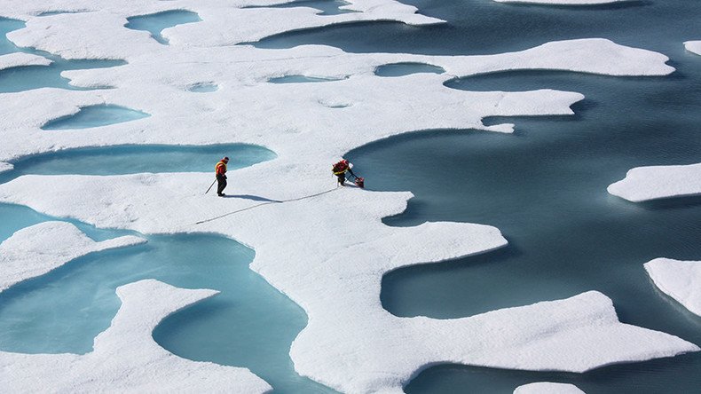 Melting sea ice may actually increase Arctic sea life – study
