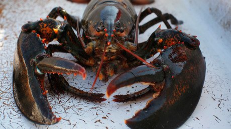 Craze for lobsters in China sends US exports soaring
