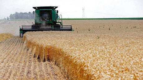 Russia blasts Turkey over draconian agriculture tariffs