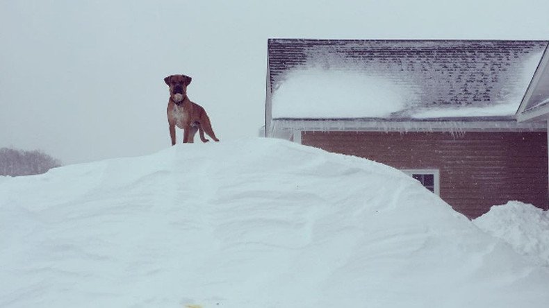 ‘Snowmageddon’: Canada hit with 2m of snow & has mind-boggling pics to prove it (PHOTOS, VIDEOS)