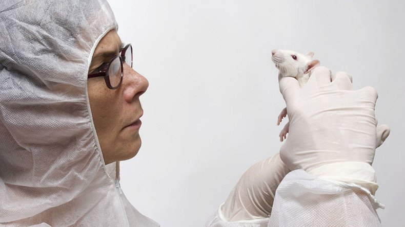 Mice not ‘furry little people’: Researchers rethink animal testing as human trials fail