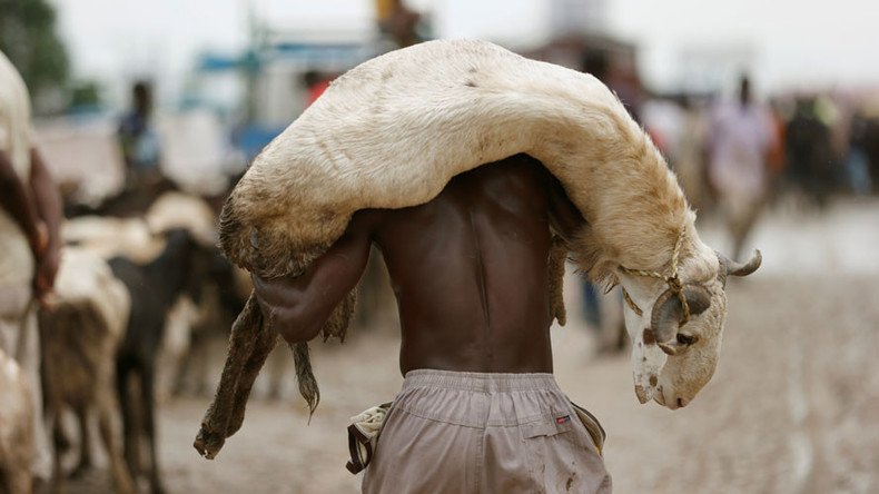 Zimbabweans could soon use livestock as collateral