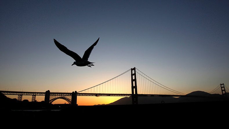 80 years, 1,500 deaths: Suicide deterrent nets going up at Golden Gate Bridge