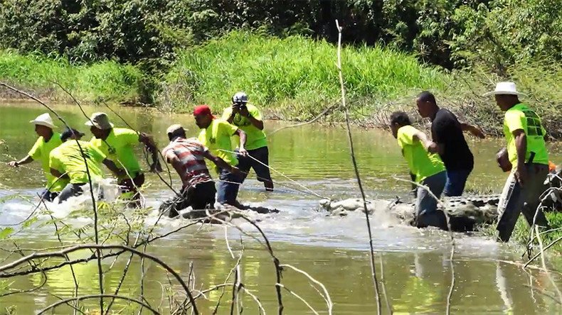 Easter crocodile hunters of Costa Rica (VIDEO)