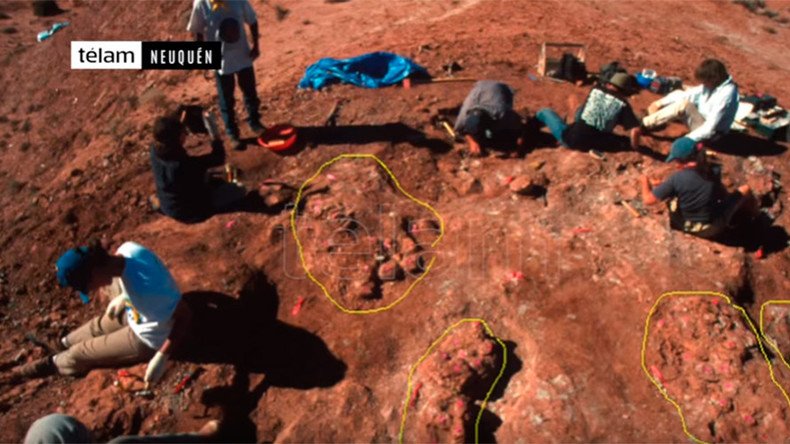 70mn yo dinosaur eggs with embryos inside unearthed in Argentina