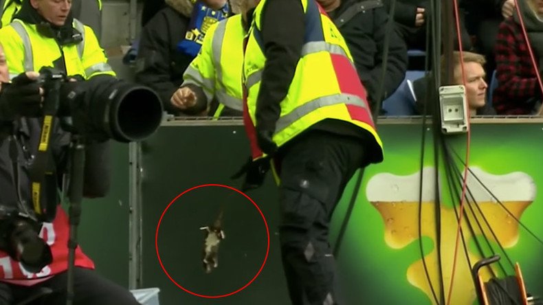 Football fans hurl rats at player during Brondby-Copenhagen derby  