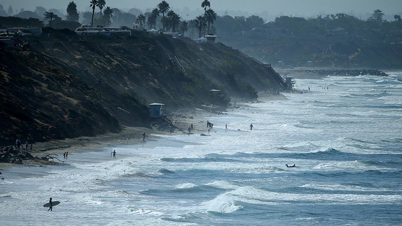 Sea creatures ‘dissolving’ in warming Pacific ocean – study 