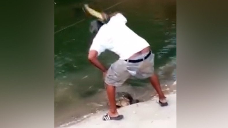 Texan who smashed wild turtle to death with hammer sentenced to 4 yrs probation (GRAPHIC VIDEO)