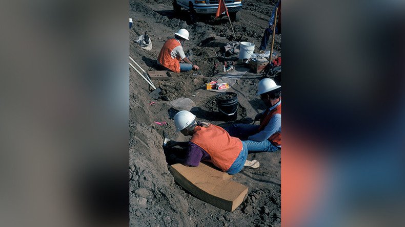 ‘Extraordinary evidence’ shows humans in North America 100,000 years earlier than first thought