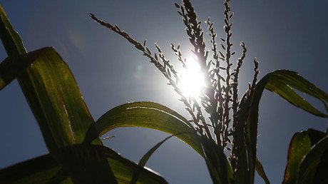 Monsanto sees almost 30% profit jump