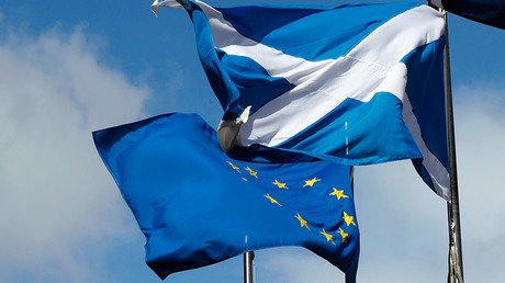 Breakaway Scotland’s return to EU would be ‘relatively speedy’ – German MEP