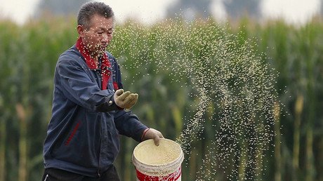 Agricultural mega-merger could make China leading GMO producer