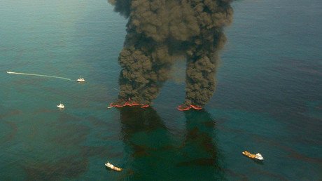 BP oil spill caused $17.2bn worth of damage to natural resources – study