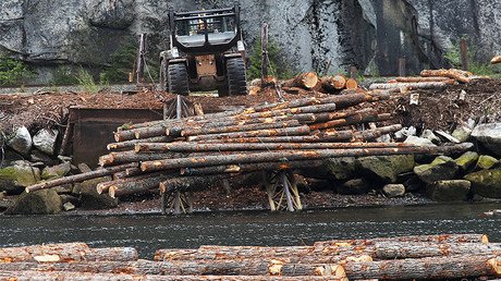 Canada threatens to play hardball with Trump over lumber tariffs