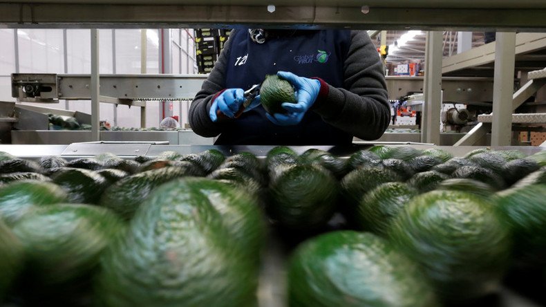 Back that Hass up: Global demand for avocados skyrockets, pushes prices to record highs