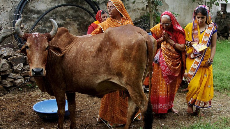 ‘Cow vigilantes’ kill two men over suspected animal theft in India