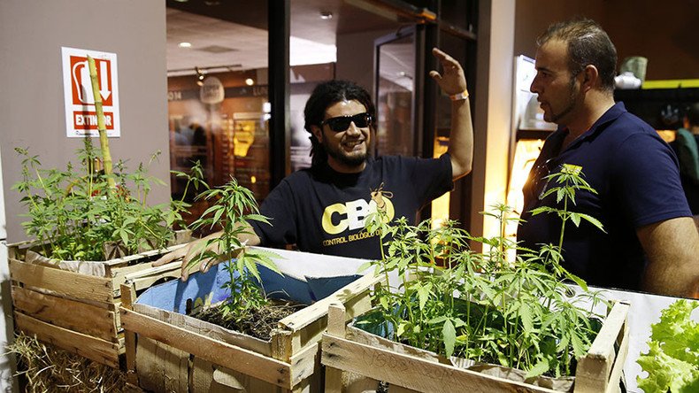 State-grown dope: Uruguayans sign up to buy cannabis in drugstores