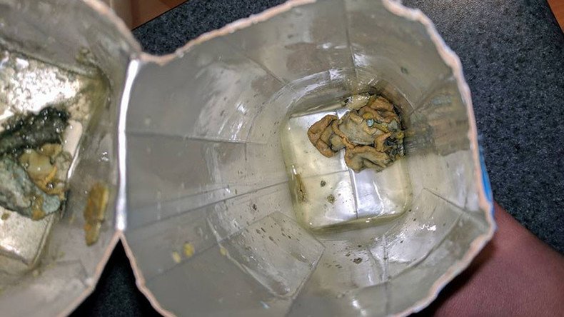 Bizarre creatures found inside coconut water carton