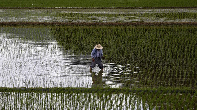 Fukushima village farmers plant rice for 1st time since nuclear disaster