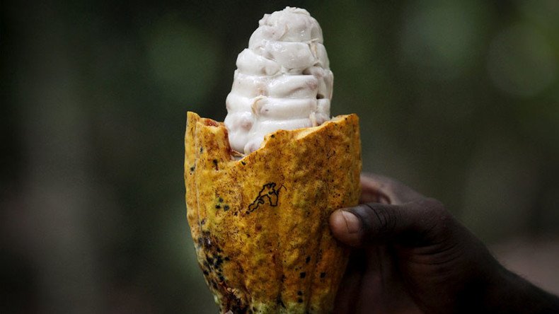 Chocolate could get more expensive with rising unrest in Cote d'Ivoire