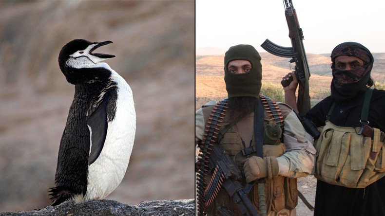 Ice-is? Britain issues terrorism warning for Antarctica... & security experts aren’t impressed