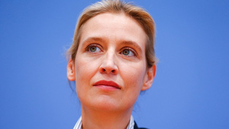 ‘Nazi slut’: German court rules ‘satirical’ insult of AfD leader is acceptable