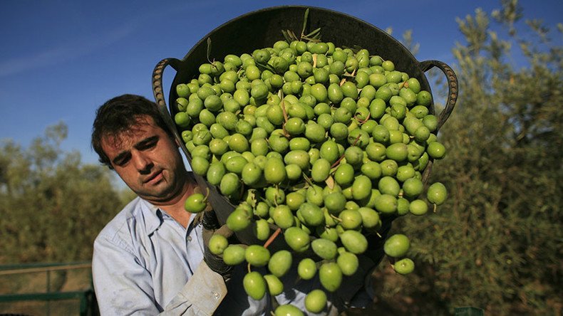 Mediterranean drought leads to spike in olive oil prices