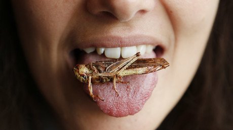 Cordon bleurgh: Burgers, meatballs made from insects on sale in Swiss supermarkets