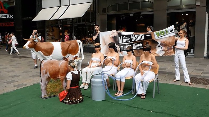 Animal rights activists ‘milked’ in udderly bizarre protest (VIDEO)