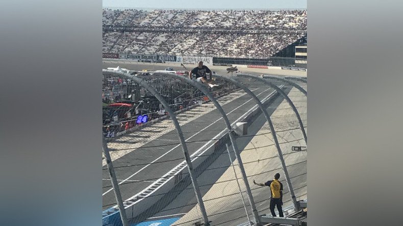Crazed NASCAR fan climbs fence above speeding cars (VIDEO, PHOTOS)