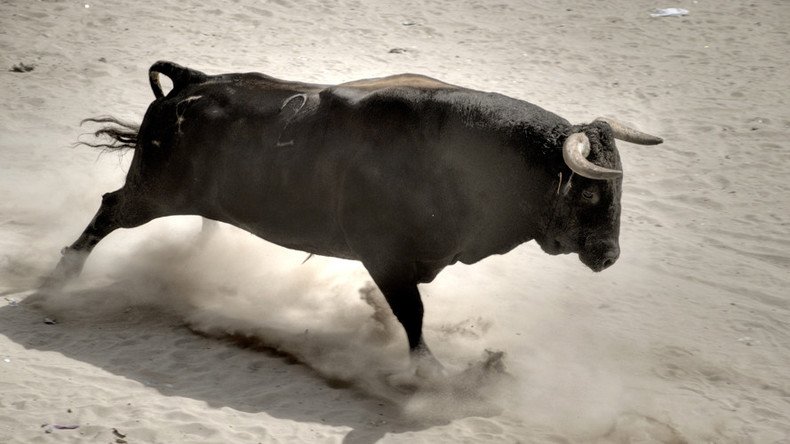 Rampaging bulls gore 12 at Peruvian ‘tail-pulling’ festival (GRAPHIC VIDEO)