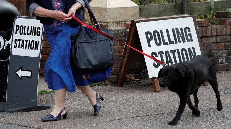 #DogsAtPollingStations may be best thing about UK General Election