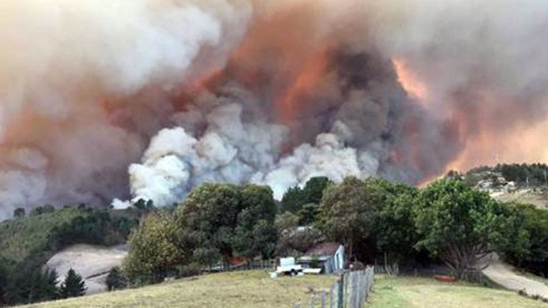 ‘The whole town is burning’: Deaths, mass evacuations as fire sweeps Western Cape (VIDEOS, PHOTOS)