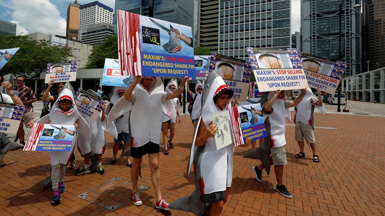 ‘Shark fin for shark only’: Hong Kong protesters in shark costumes march against fin soup (VIDEO)