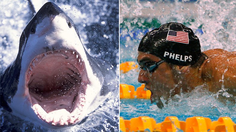 Phelps V Shark: Olympic legend 'will race great white' in TV special