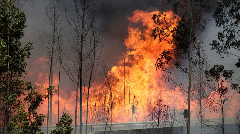 ‘Biggest tragedy in years’: At least 62 killed, 59 injured in Portugal forest fires (PHOTOS, VIDEO)