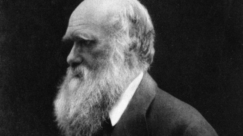 Turkey to scrap Darwin’s ‘controversial & redundant’ theory of evolution from schoolbooks