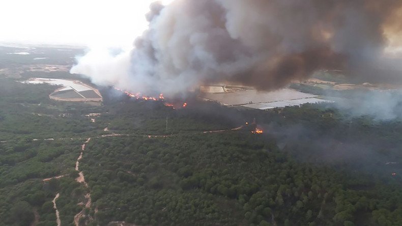 1000s evacuated as Spanish wildfire rips through UNESCO World Heritage site (PHOTOS, VIDEOS)