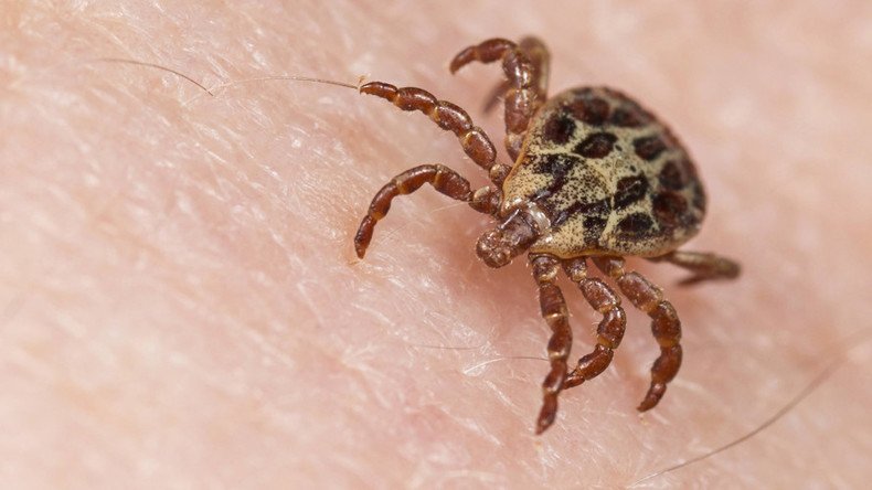 Bug saliva ticks all the right boxes in heart disease battle 