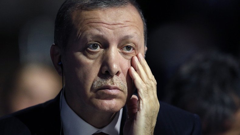 Erdogan public appearances outside G20 ‘inappropriate’ – German FM