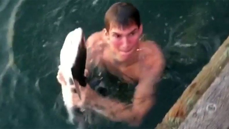 Teen catches endangered shark with bare hands (VIDEO)