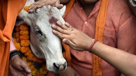 Beef-eaters should be ‘hanged in public’ for consuming sacred cows, says Hindu leader