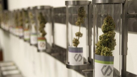 Don't take the high road? Study finds legal pot link to car crash rise