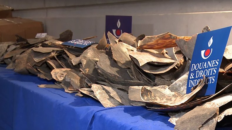 Half a ton of endangered tortoiseshell intercepted by French customs